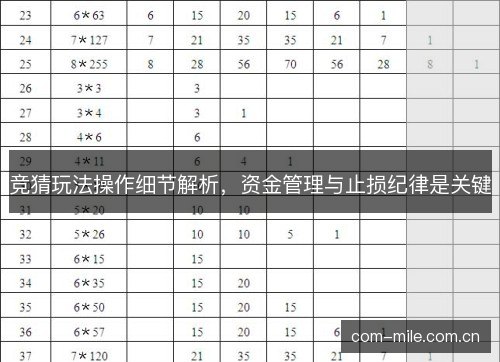 竞猜玩法操作细节解析,资金管理与止损纪律是关键 竞猜玩法操作细节解析,资金管理与止损纪律是关键